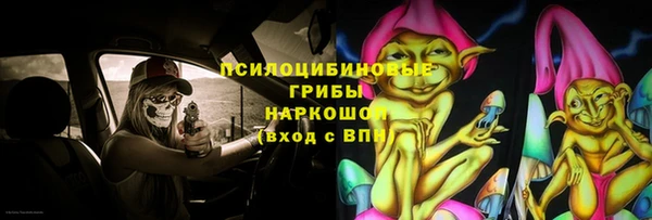 прущие крисы Абаза