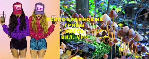 a pvp Мегион