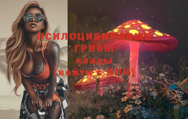 apvp Абинск