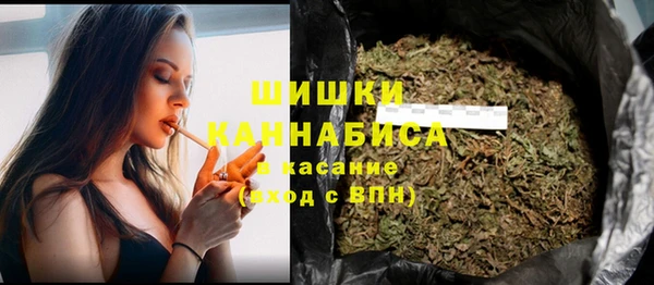 тгк Медвежьегорск