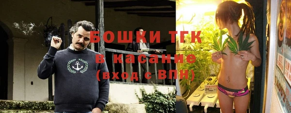 прущие крисы Абаза